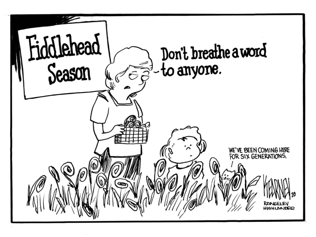 Fiddlehead cartoon