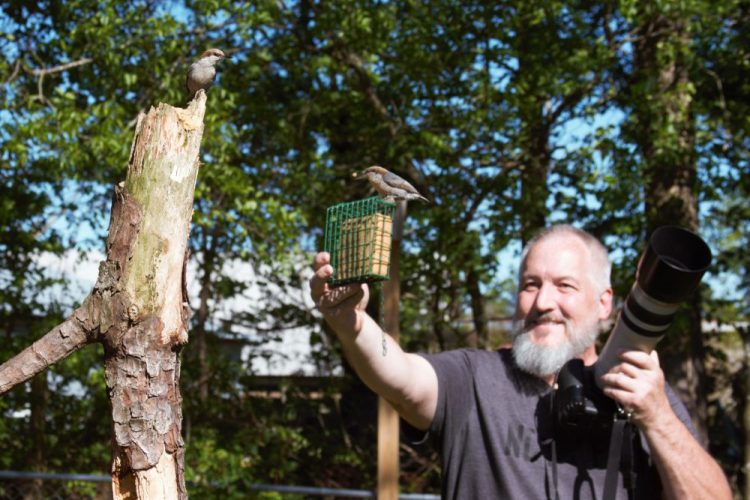 Amateur bird watcher Michael Kopack Jr. holds his camera in the background while two nuthatches land nearby. Kopack has gotten deeply involved in bird-watching during the coronavirus pandemic and put up a birdhouse for the first time this spring.