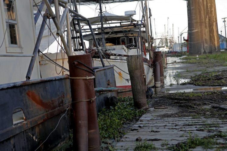 Fishing vessels are seen docked in Morgan City, La. Attempts to curb the spread of COVID-19 have thrown a kind of triple economic whammy on the state. As oil prices have plummeted, the industry laid off workers. 
