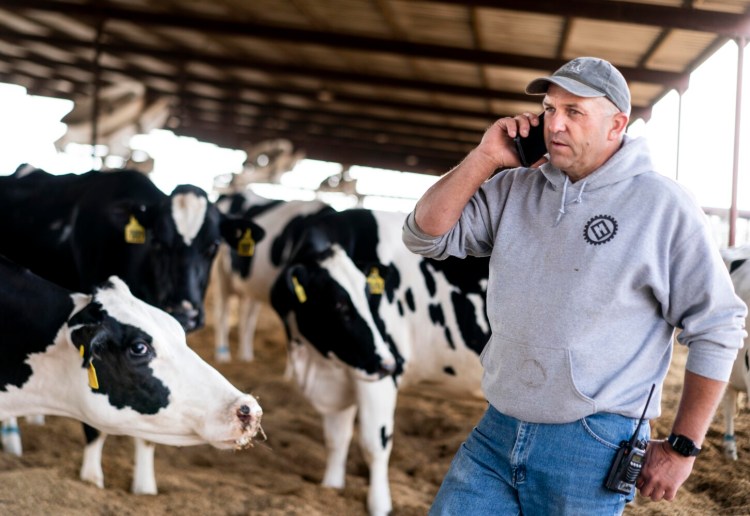 Simon Vander Woude owns a farm in Central California that produces 40 percent of the state's milk. The U.S. Department of Agriculture is buying $3 billion worth of surplus American meat, dairy and fresh produce that the agency will then partner with distributors to deliver food in boxes to food banks and other organizations.
