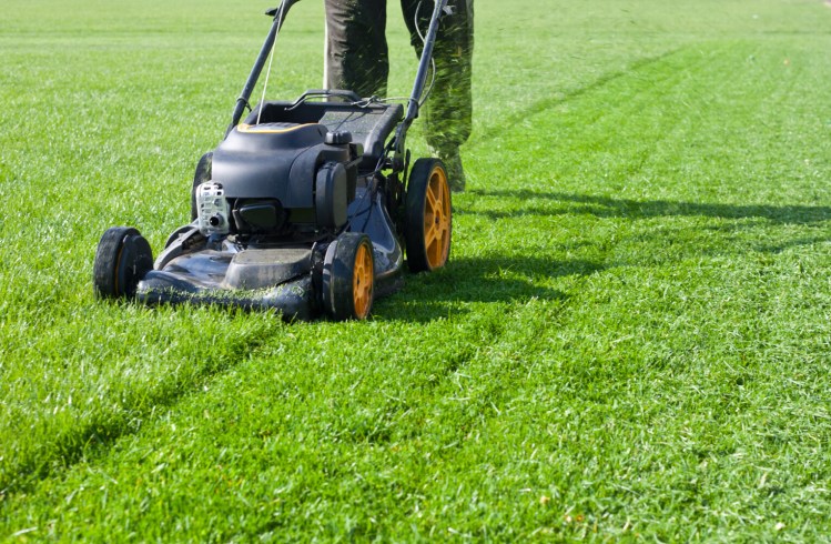 Lawns are not good for the environment. They require a lot of water, mowing (typically with gas-powered mowers) and chemicals to keep the weeds down. Beyond these, they provide little food or shelter for pollinators and other animals. Why not shrink your lawn?