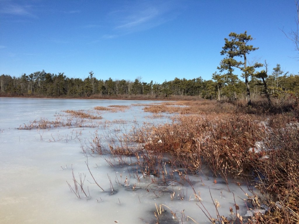 Phippsburg Land Trust gains 241 acres of protected land