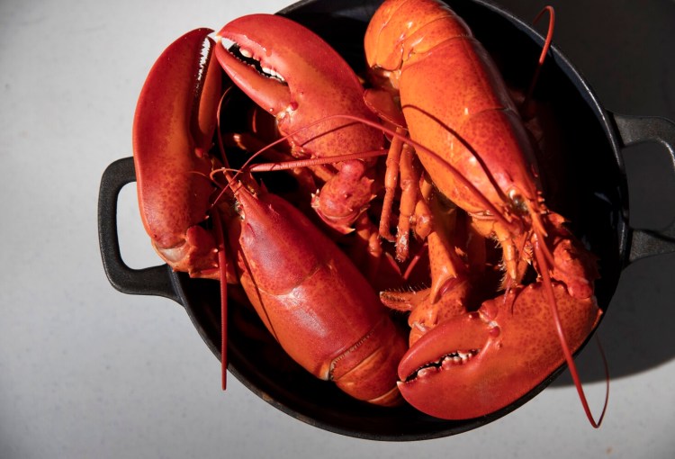 Cook it once. Eat it twice: lobster for dinner and breakfast. 