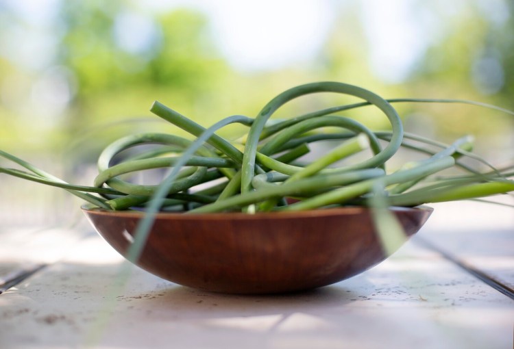 Garlic scapes steal energy from the growing garlic bulbs. To prevent that, you need to trim them off, but - bonus - like the bulbs themselves, they're edible. 