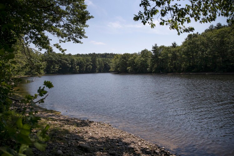 The Ecology School has nearly reached its fundraising goal and aims to open the new campus in November. The River Bend Farm campus has about a mile of frontage on the Saco River. 