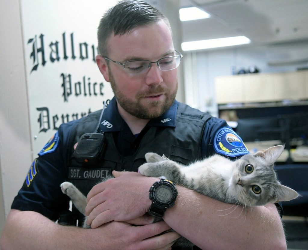 With officers moving on, Hallowell police look to fill fulltime positions