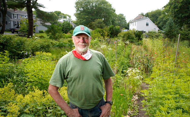 Columnist Tom Atwell, shown in the extensive gardens he and his wife maintain at their Cape Elizabeth home. He has been writing the Maine Gardener column for 20 years.