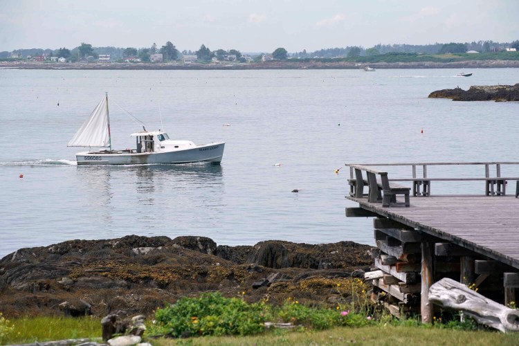 In Mackerel Cove off Bailey Island on Tuesday, a lobster boat passes near where a great white shark attacked and killed a woman on Monday afternoon.