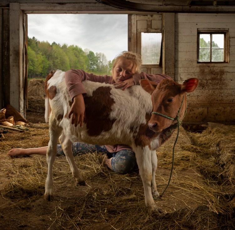"Why Buy the Cow” photo by James Southard.