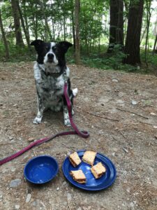 There's usually something one forgets on a camping trip, especially for a quick one-nighter away. On a recent trip, this good man had to make do with a peanut butter sandwich, after his human friend forgot his dog food. He took one for the team without complaint.