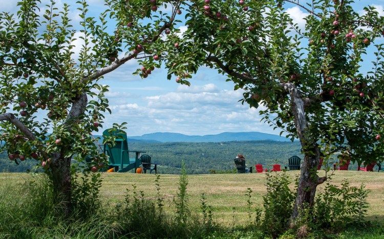 A slow start and warm weather late in the season means apples are a little behind this year but ready to be picked and many orchards, like Ricker Hill Orchards, have opened to for the public to come pick their own.