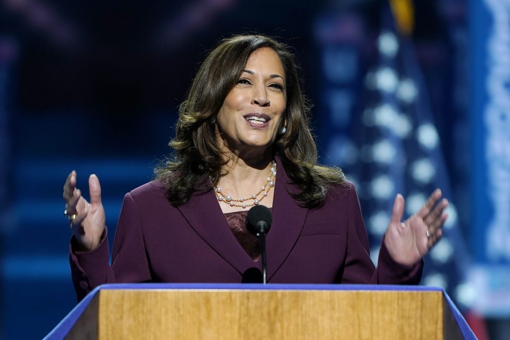 Election_2020_DNC_37641