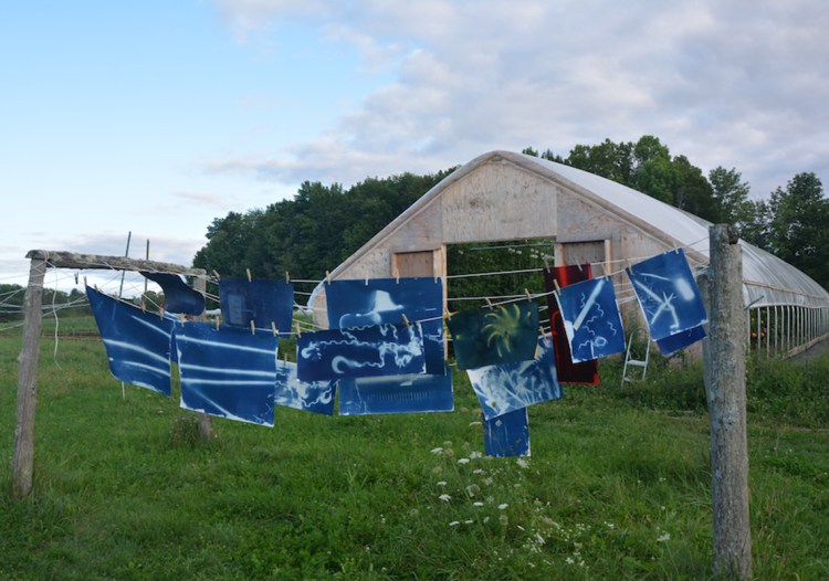 UMF Emery Community Arts Center features The “Farm Tools Project,” a visually stunning exhibit of cyanotype images created with sunlight and water by Michel Droge and Sarah Loftus.