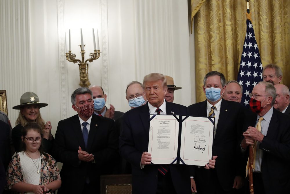 Trump_71860