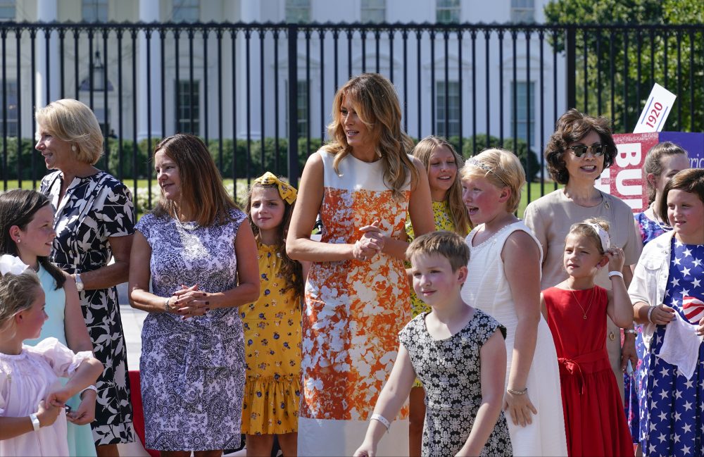 Melania Trump, Betsy Devos, Karen Pence, Elaine Chao, Steve Bannon