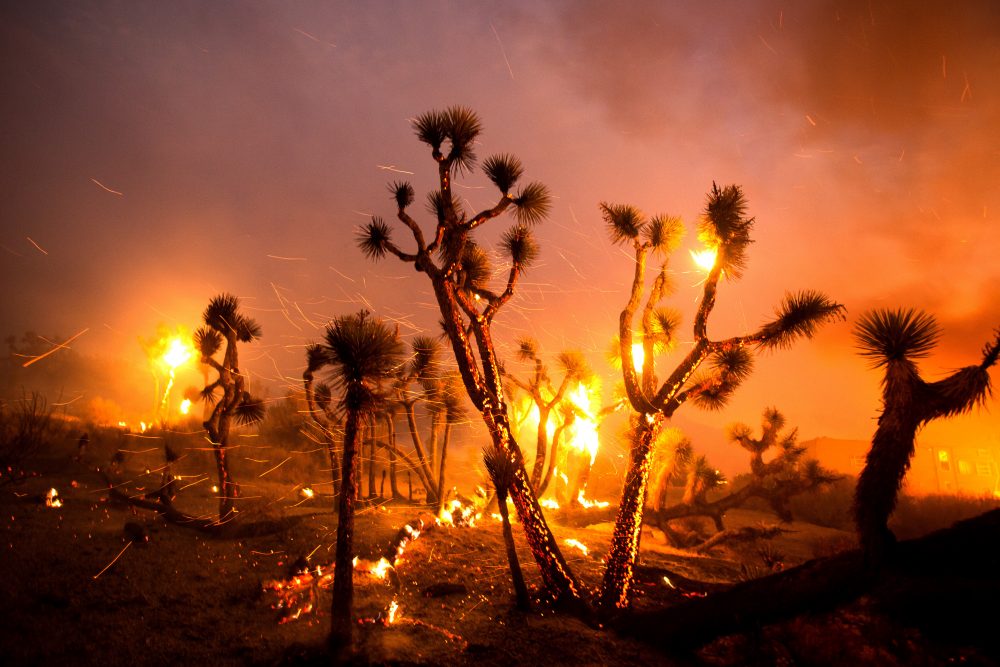 APTOPIX_Western_Wildfires_38630