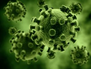 SINTX Technologies Announces New Antiviral Test Results