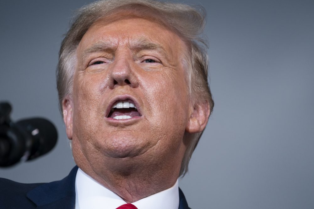 Election_2020_Trump_89599