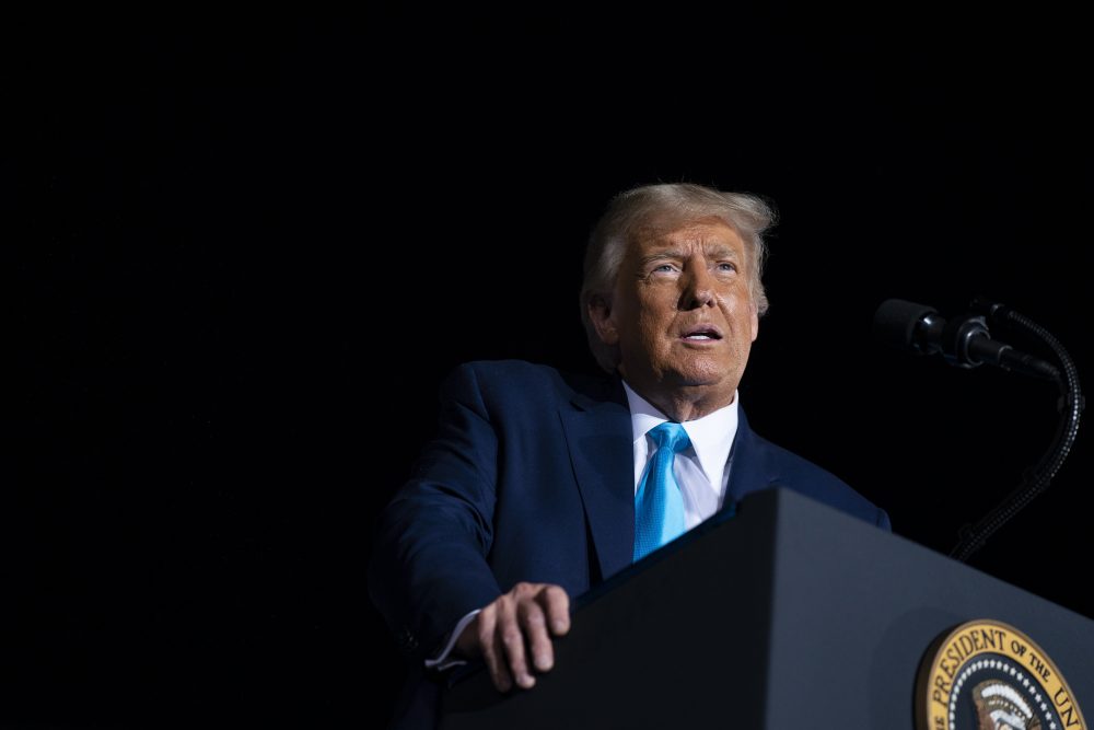 Election_2020_Trump_90131