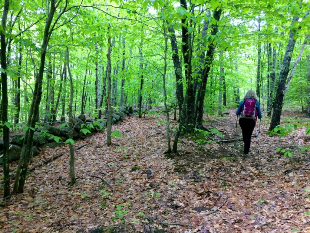 Nation's longest hiking trail cuts through county, News