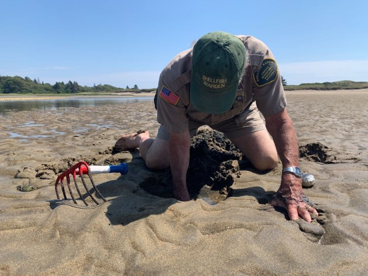 Maine Shellfish Warden Jon Hentz demonstrates the correct way to dig for clams at Reid State Park in Georgetown.
