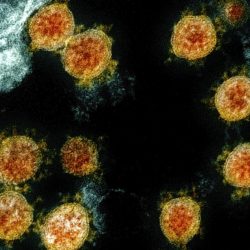Virus_Outbreak_Immunity_72517