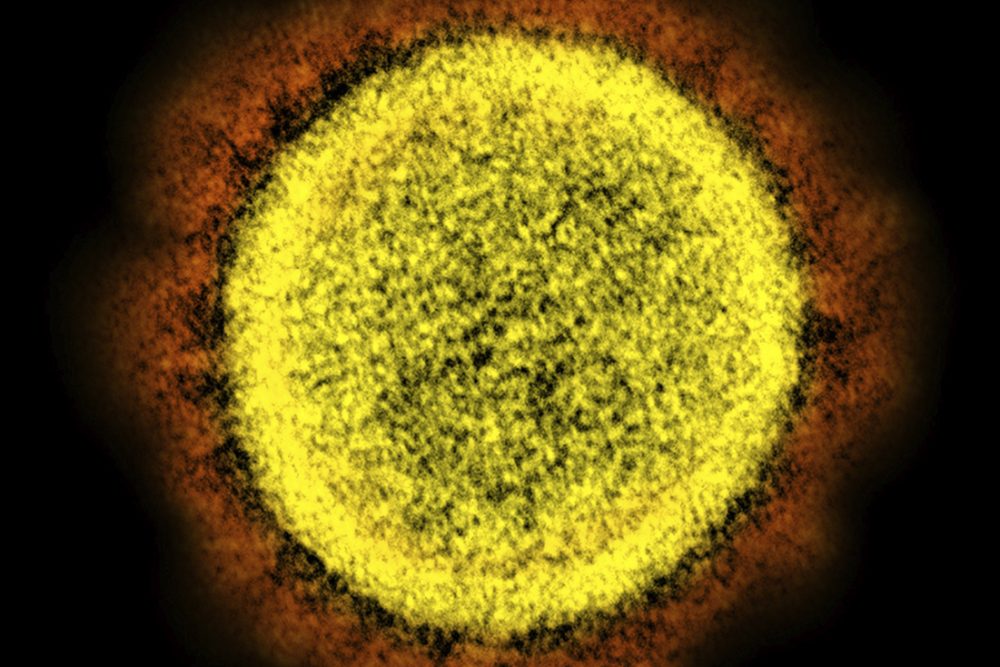 Virus_Outbreak_Obesity_10112
