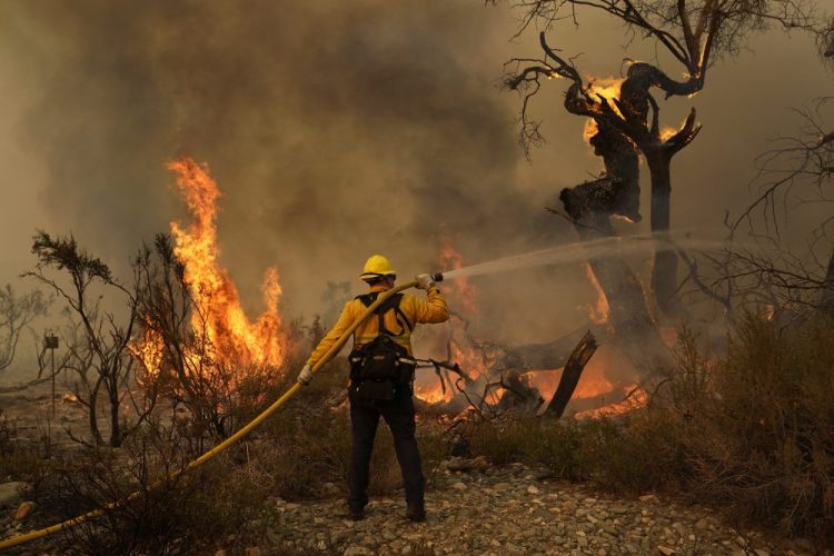 Jesse Vasquez, of the San Bernardino County Fire Department, hoses down hot spots from the Bobcat Fire on Saturday in Valyermo, Calif. 
