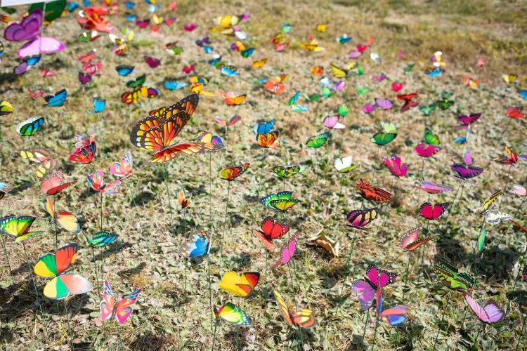 A butterfly garden in  Davis Park in Bethel. Each of the 380 butterflies represents one death from a drug overdose in Maine in 2019.
