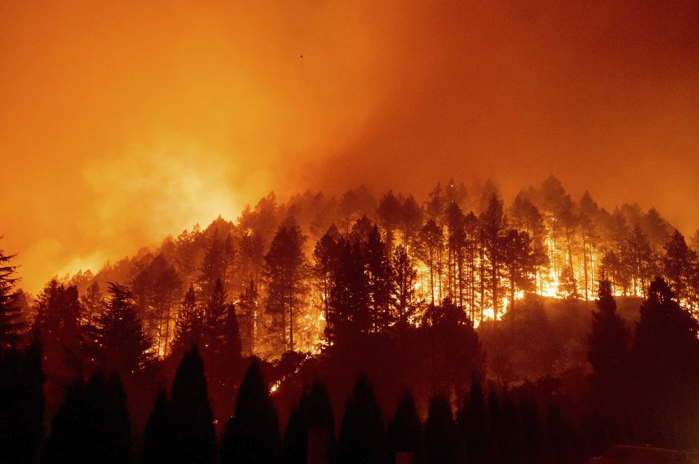 California_Wildfires_83902