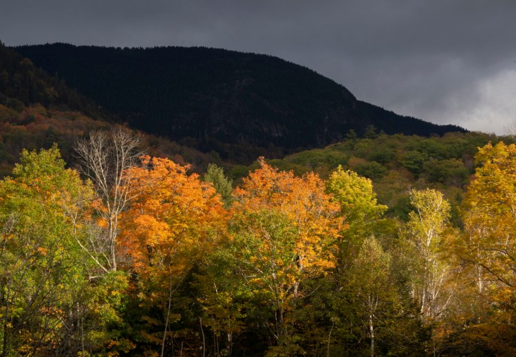 A stormy sky and a ridge in shadow make sunlit trees glow more brightly on the Maine/New Hampshire border in early October.