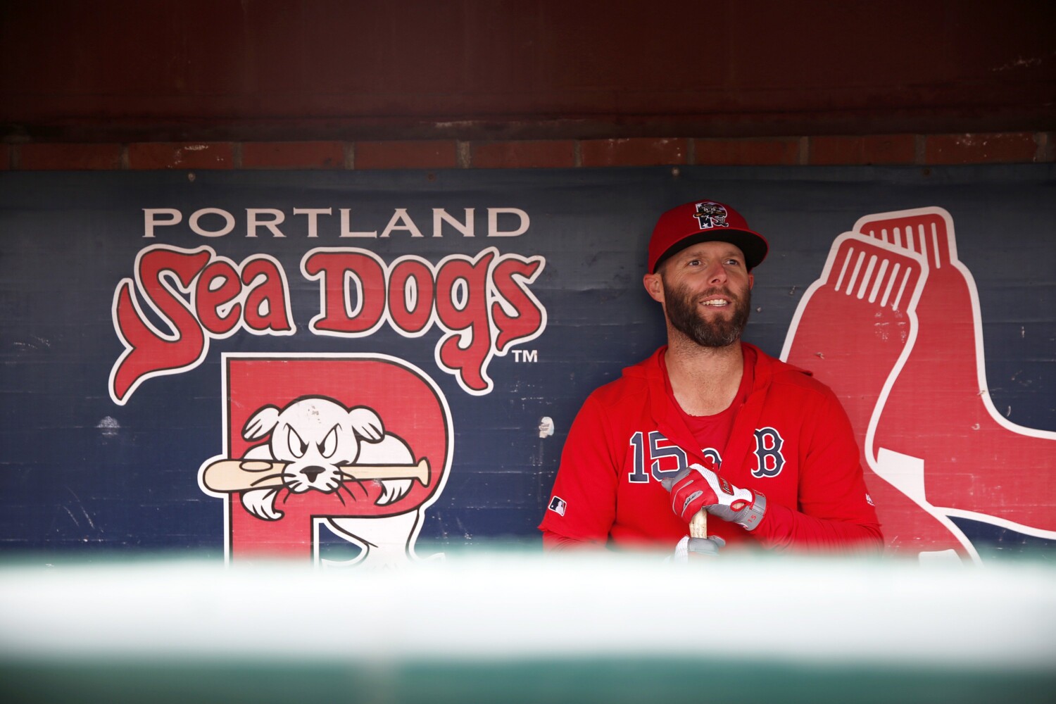 Boston Red Sox: Dustin Pedroia hopes Greenville is last stop