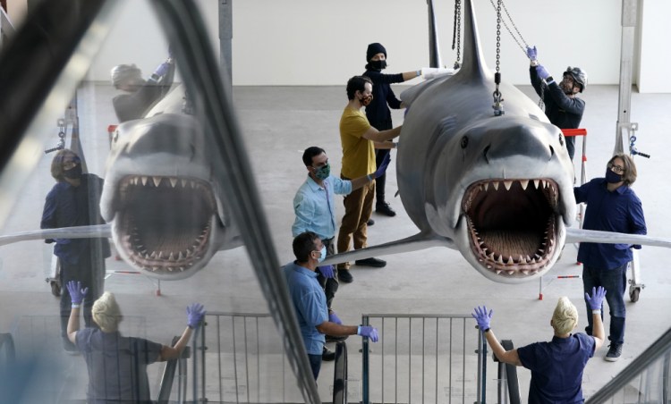 A fiberglass replica of Bruce, the shark featured in Steven Spielberg's classic 1975 film "Jaws," is raised to a suspended position for display at the new Academy of Museum of Motion Pictures on Friday in Los Angeles. The museum celebrating the art and science of movies is scheduled to open on April 30, 2021. 

