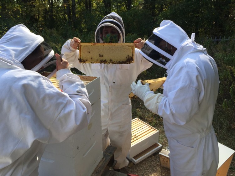 Students of Skowhegan Area High School's Eco Team working on their beehives.