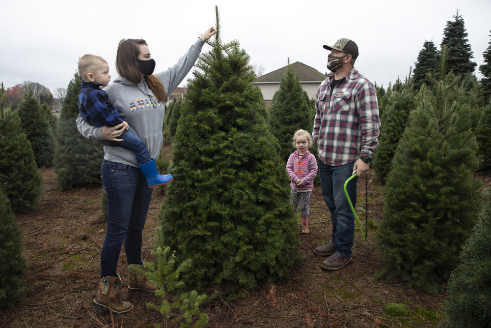 Virus_Outbreak_Christmas_Trees_97903