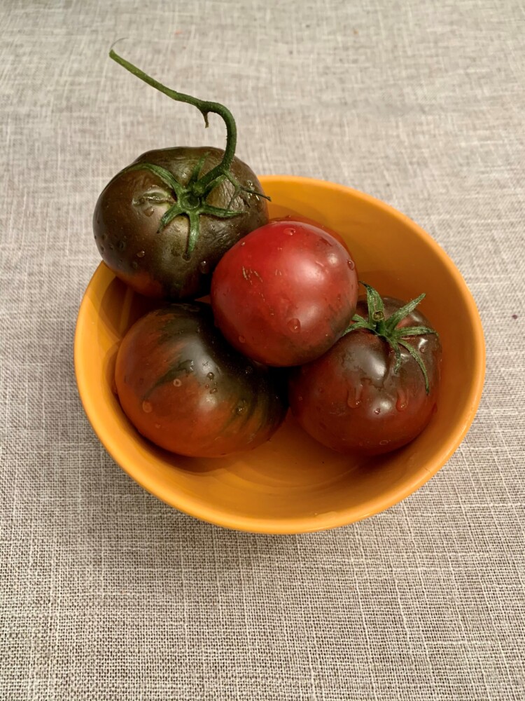 Tomatoes in November?? Yes, you can if they are Cherokee Purple heirloom tomatoes from Replenova Farm in Durham.