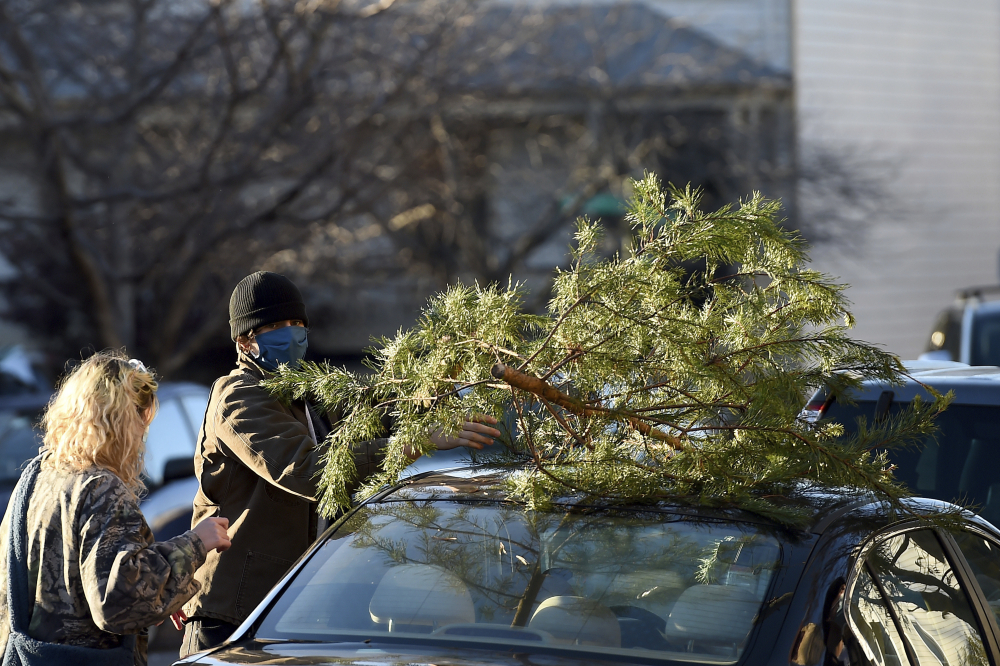 One_Good_Thing-Charlie_Brown_Christmas_Trees_62004