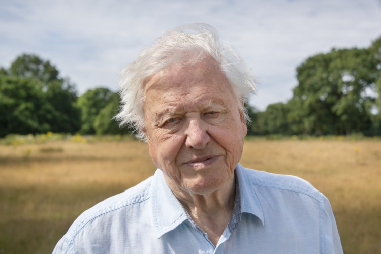 David Attenborough narrates a new TV show called “A Perfect Planet,” starting in January on the U.K.’s BBC One and Canada’s BBC Earth. (Silverback Films 2020/BBC/Discovery via AP)