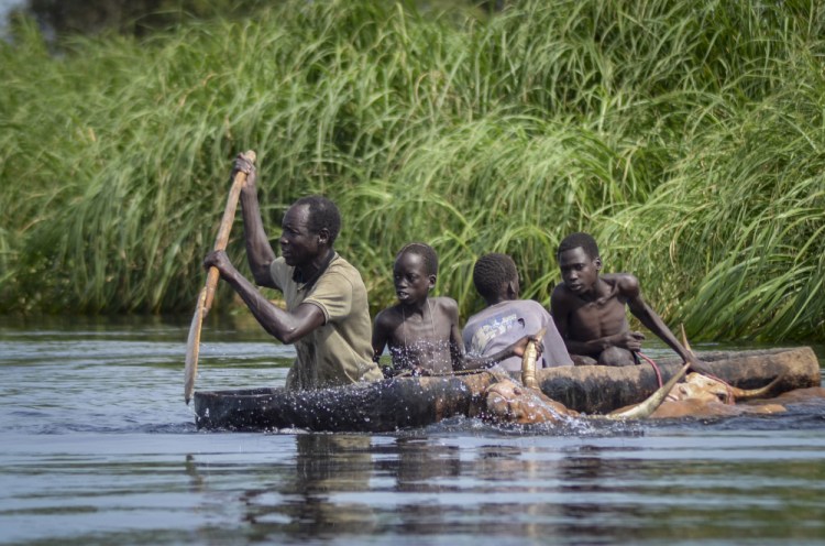 A father and his sons transport cows from a flooded area to drier ground using a dugout canoe, in Old Fangak county, Jonglei state, South Sudan on Nov. 25.