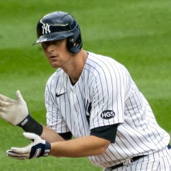 Yankees_LeMahieu_Baseball_11277
