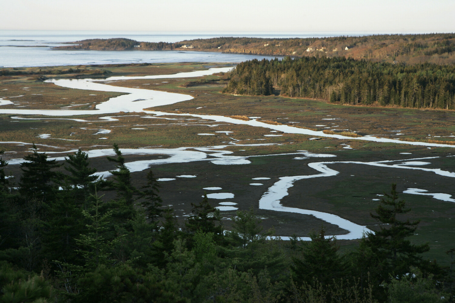 Some Phippsburg residents push back against proposed solar farm - Vimarsana News