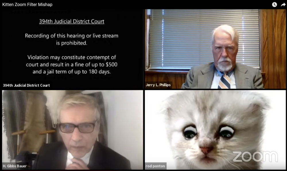 Attorney_Cat_Filter_57331