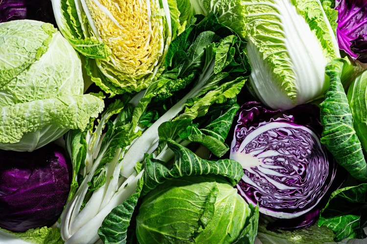 Bok choy, Green Napa, Savoy and Red cabbages. MUST CREDIT: Photo by Scott Suchman for The Washington Post.