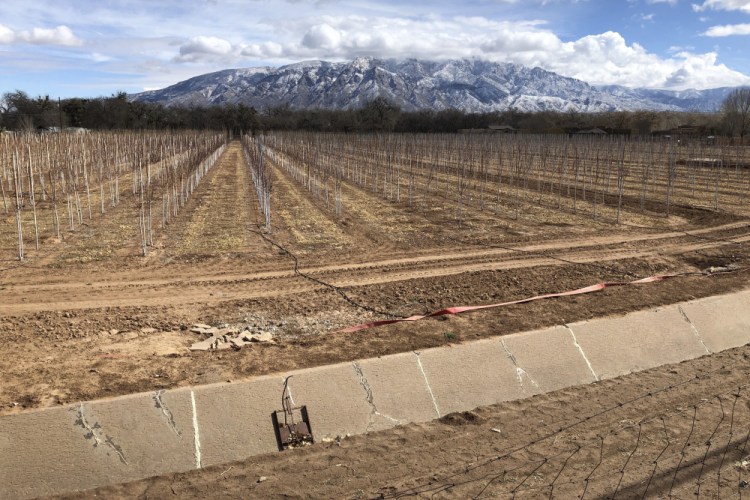 An empty irrigation canal at a tree farm Feb. 17 in Corrales, N.M., with the Sandia Mountains in the background, as much of the West is mired in drought, with New Mexico, Arizona, Nevada and Utah being among the hardest hit.