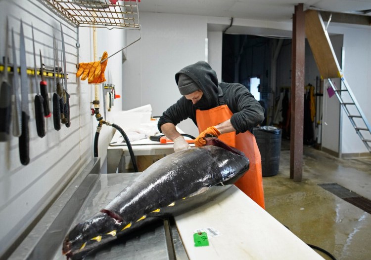 Justin Barner fillets a yellowfin tuna at Upstream Trucking, a wholesale seafood distributor in Portland. 