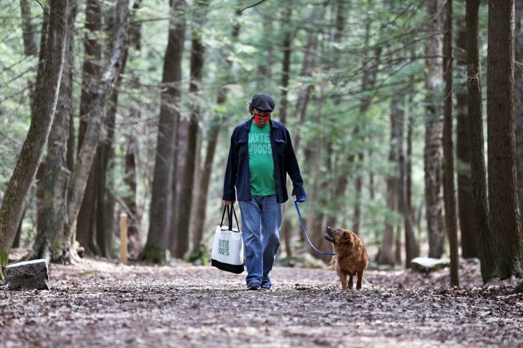 PORTLAND, ME - APRIL 6: Marc (cq) Lesperance walks his dog Marco in Baxter Woods on Tuesday. Lesperance has sued Portland over the new rules for dogs in the popular park that call for dogs to be leashed there at all times between April 1 and July 31. (Staff photo by Ben McCanna/Staff Photographer)