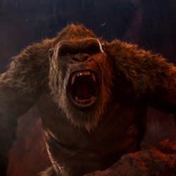 Film_-_Godzilla_vs_Kong_27084
