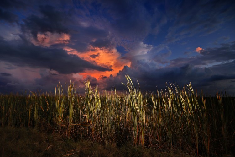 A clearing late-day storm adds drama in the sky over a sawgrass prairie in Everglades National Park in Florida in 2019.