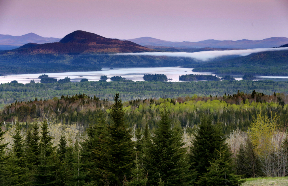 Environmentalist_Conflict_27293