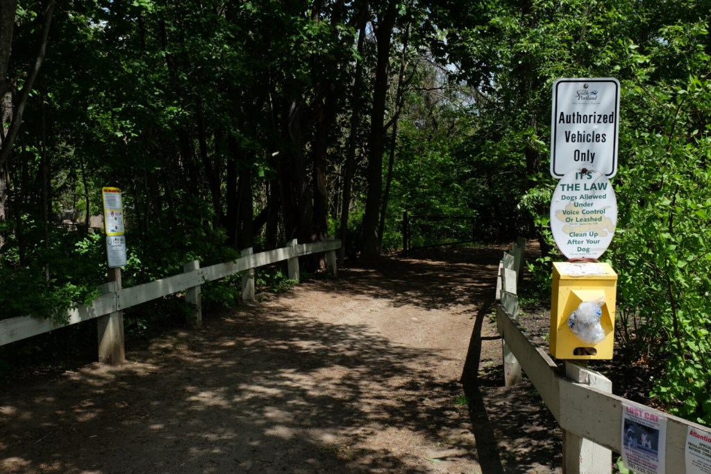 South Portland council to review new leash law next week